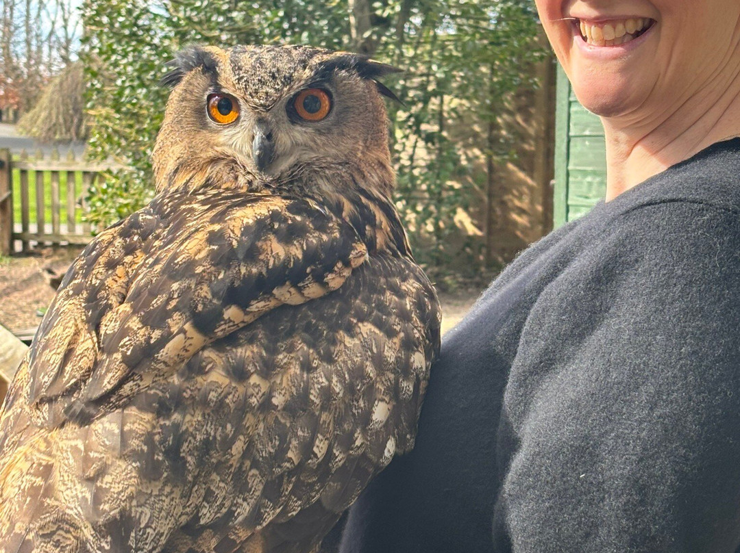 Dalhousie Castle Falconry-邦尼里格必去景点