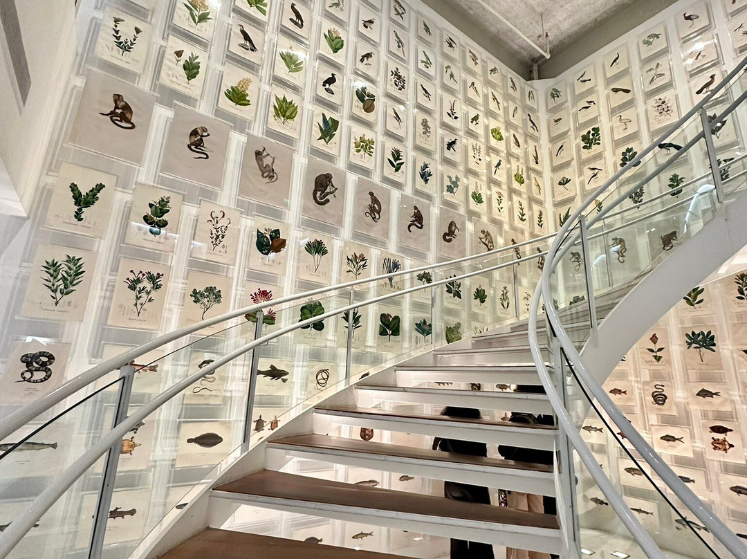 Itau Cultural Institute-圣保罗必去景点