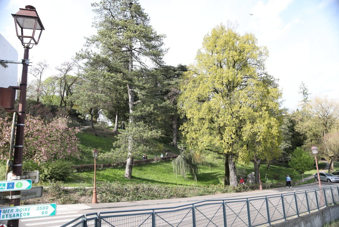 Cours Saint-Mauris-多勒必去景点