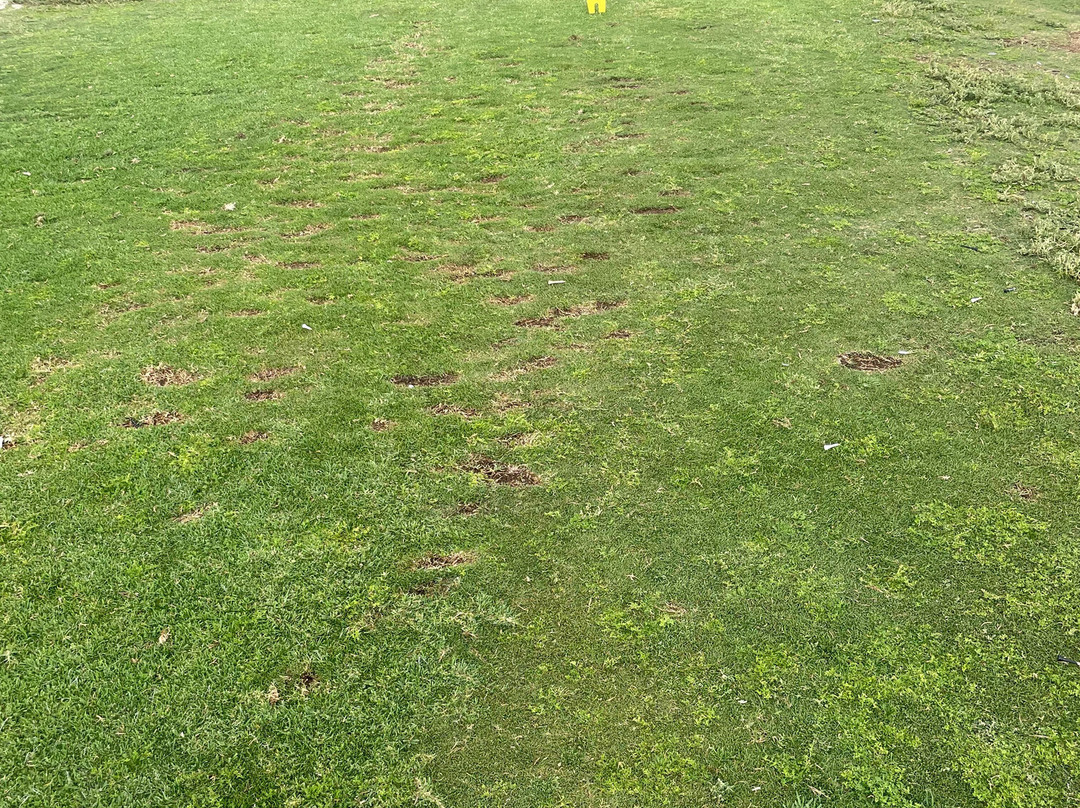 Lanzarote Golf-提亚必去景点