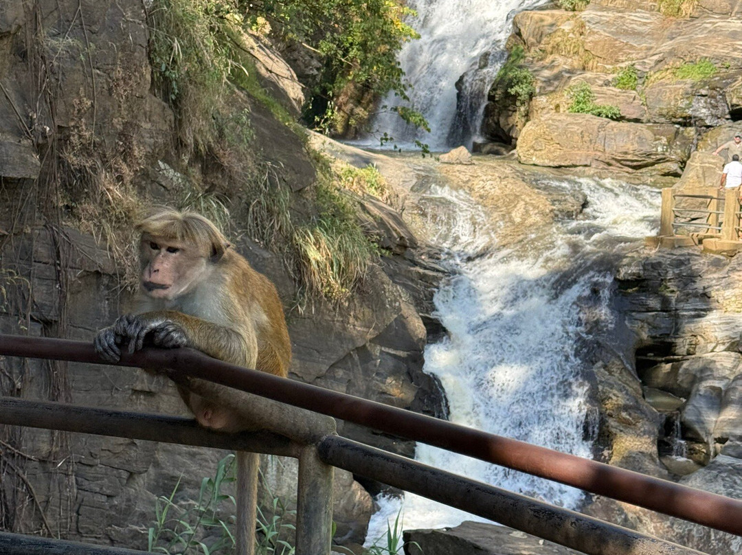 Different Discovery Tours-卡图纳耶克必去景点