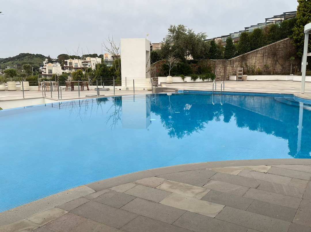 多利亚博德鲁姆酒店主图