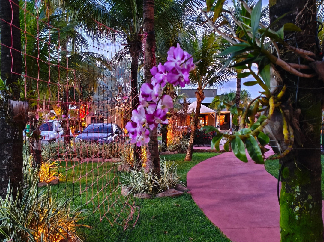 Carpe Diem Eco Resort 奥林匹亚主图