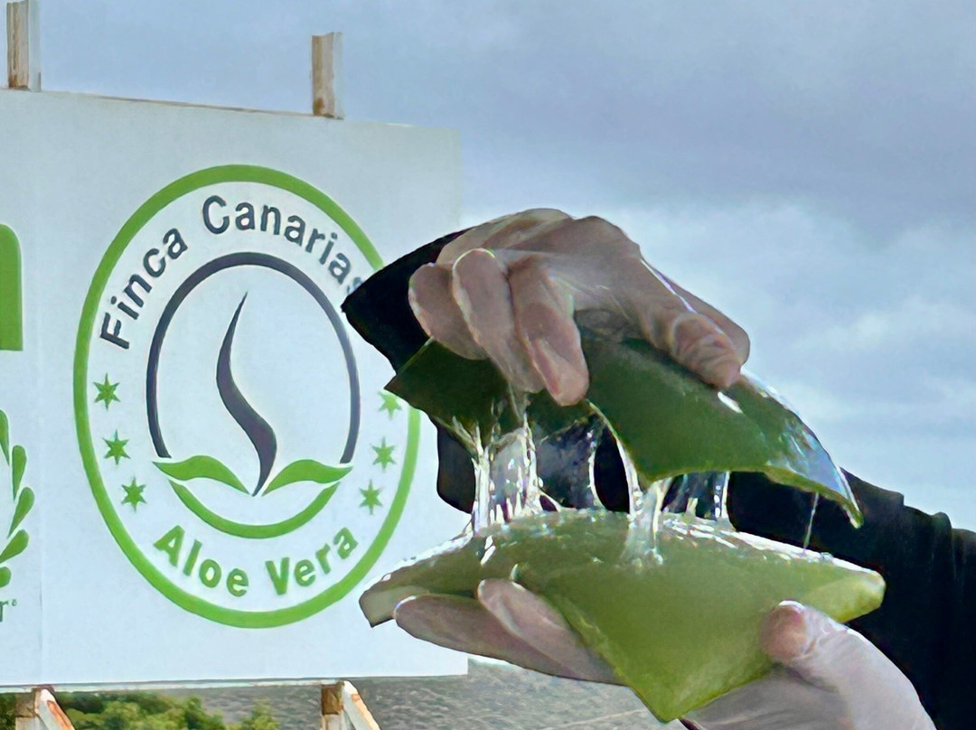 Finca Canarias Aloe Vera-Guimar必去景点