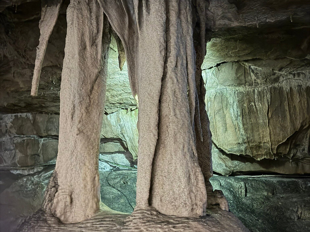 Ingleborough Cave-Clapham必去景点