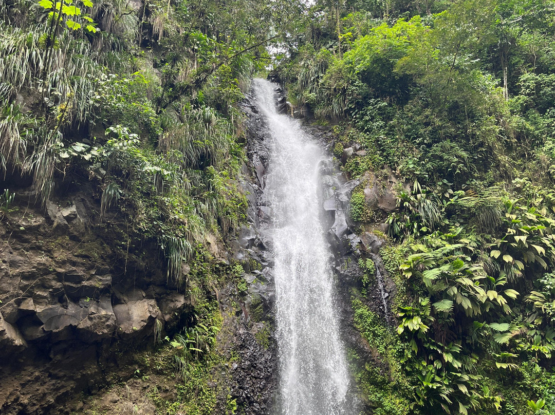 Balad'Et'Moi-Riviere-Salee必去景点