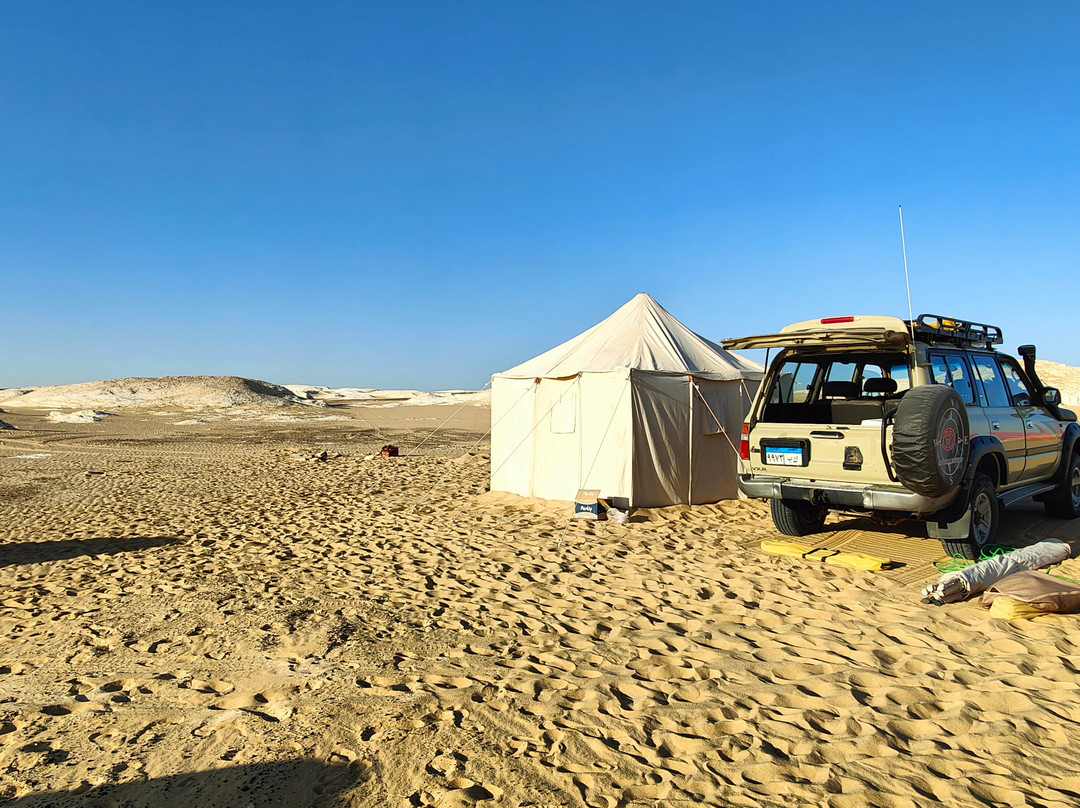 Jimmy Egypt Safari-Bawiti必去景点