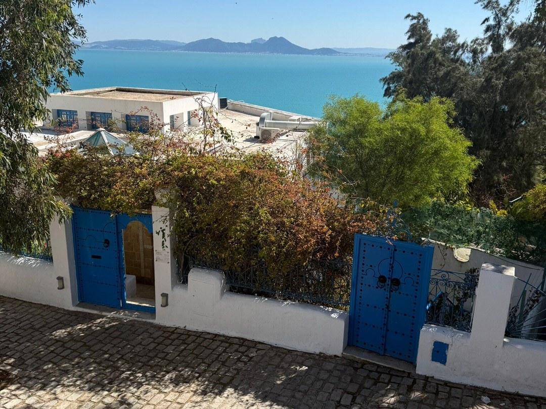 Sidi Bou Said Village-蓝白小镇必去景点