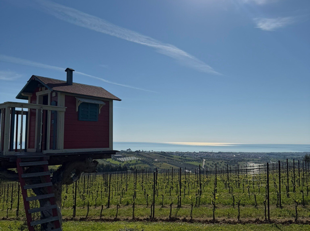 Podere Colle San Massimo-朱利亚诺瓦必去景点