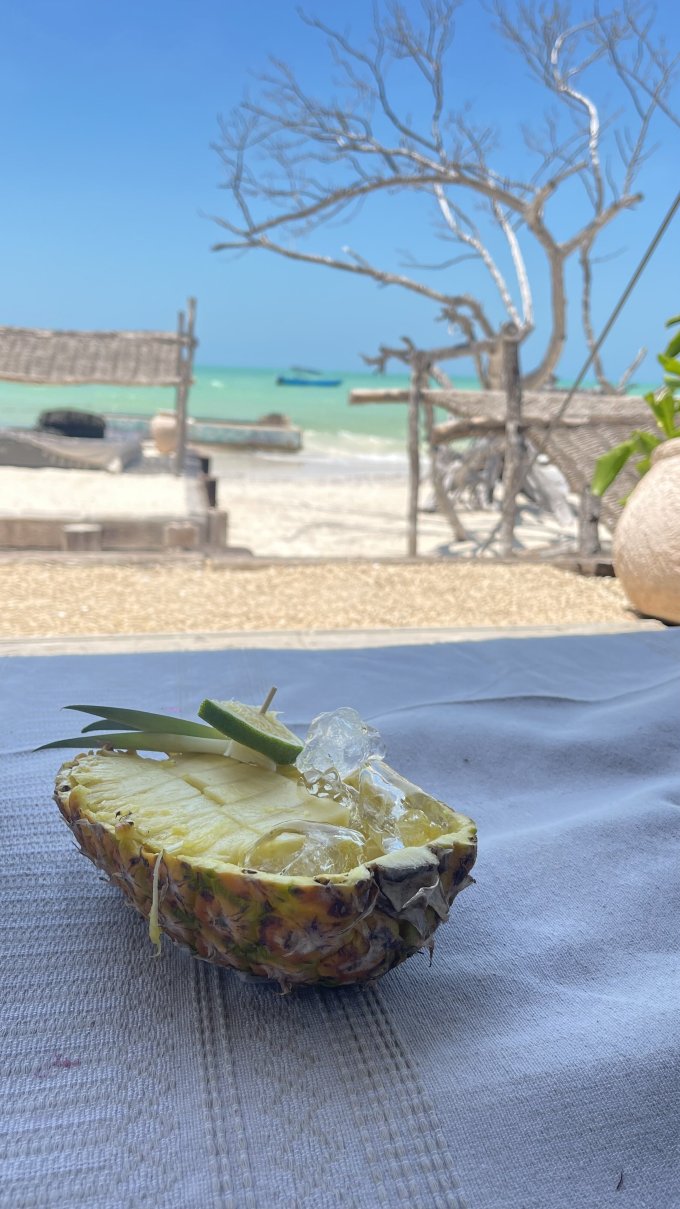 Nômade Holbox-旅行者