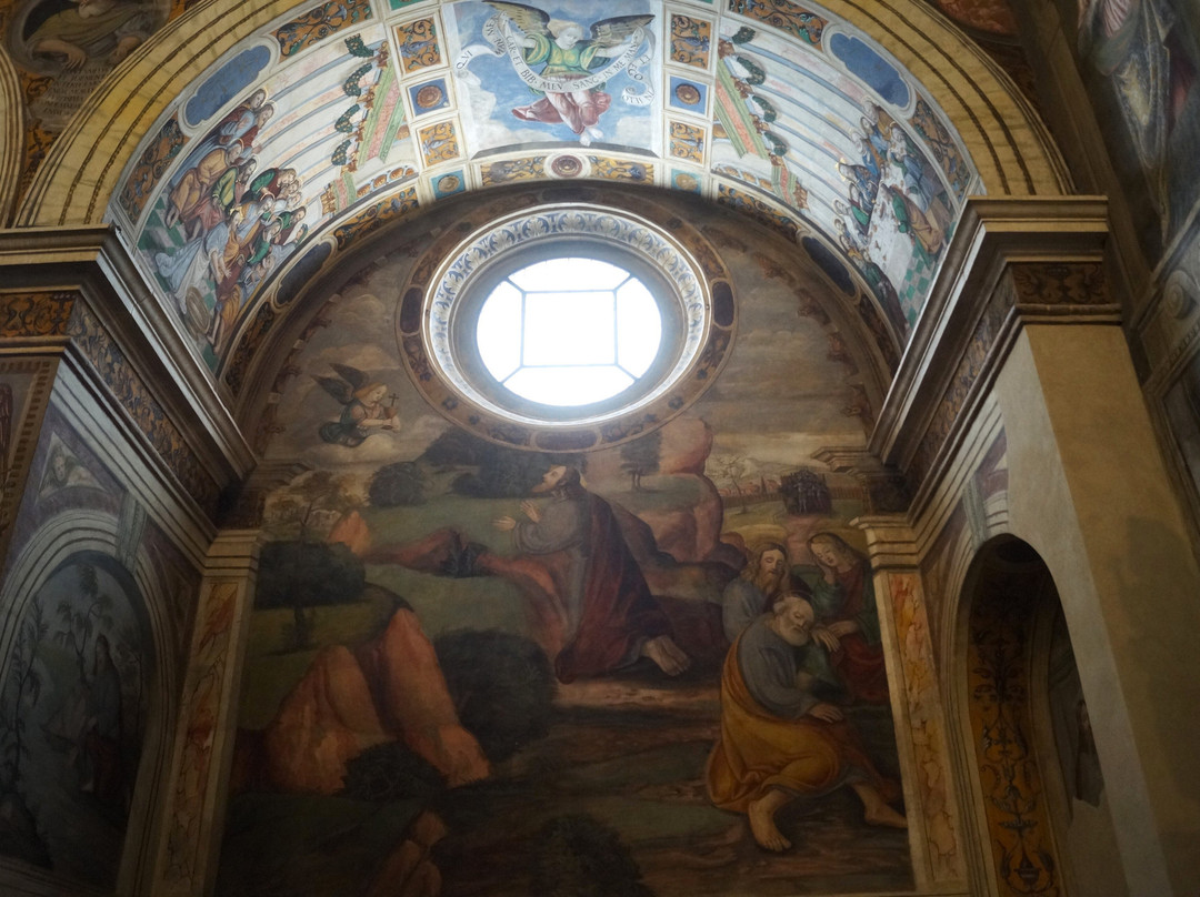 Basilica di San Salvatore (Museo di Santa Giulia)-布雷西亚必去景点