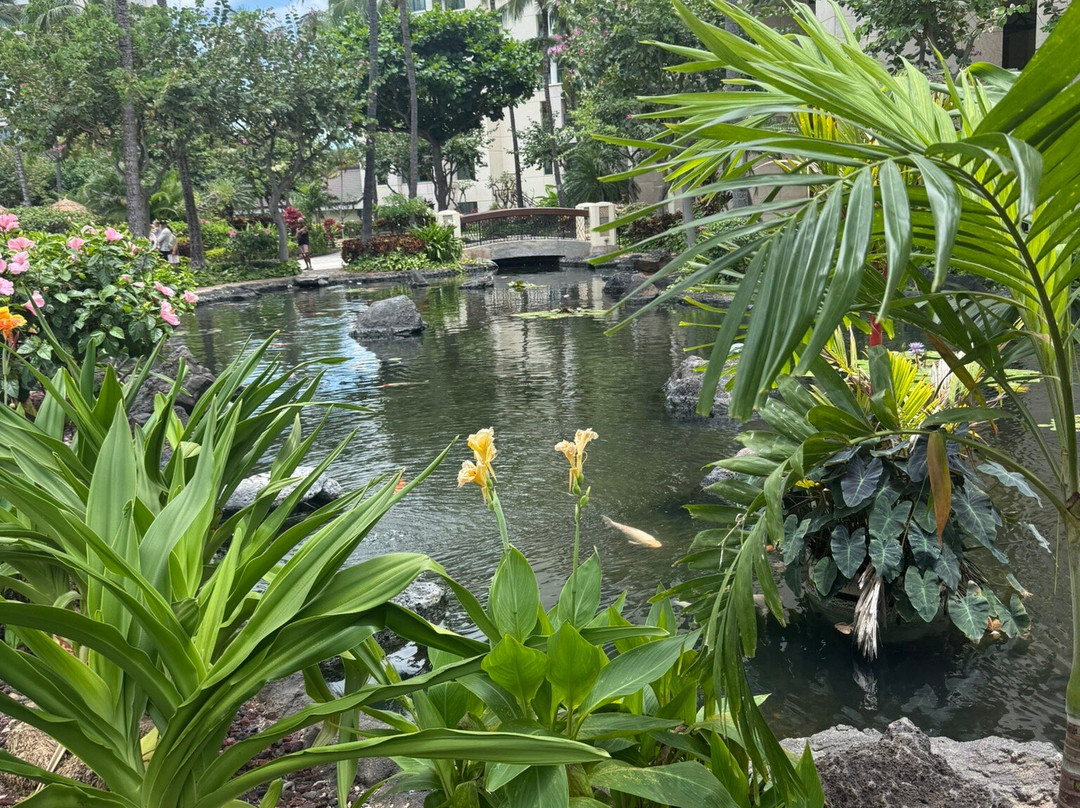科奥利纳海滩俱乐部万豪酒店主图