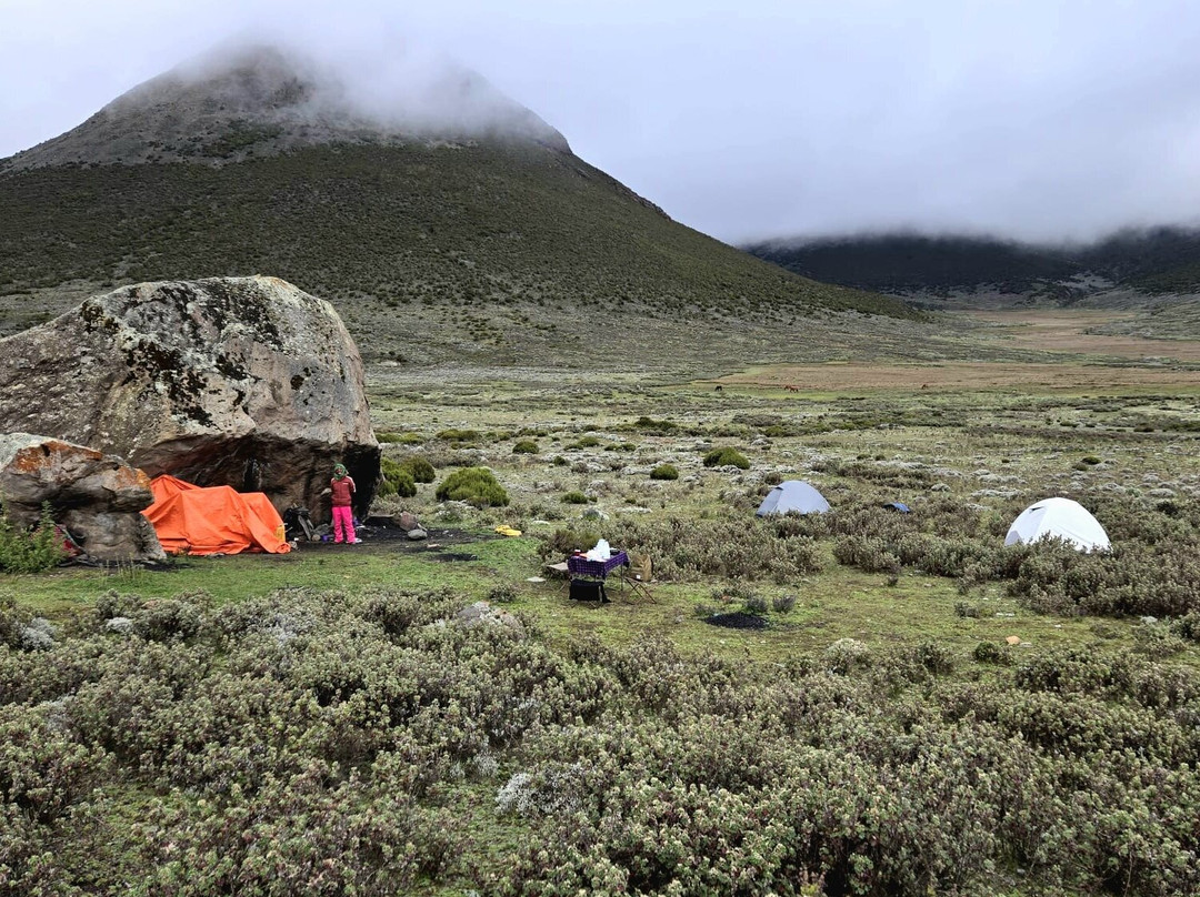 Bale Mountains Brilliant Tours-Goba必去景点