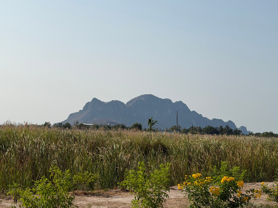 Cha-am Forest Park-七岩必去景点