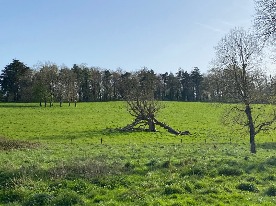 Saltram (National Trust)-普利茅斯必去景点