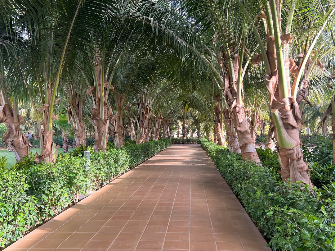 Riu Baobab Trip Travel-Nianing必去景点