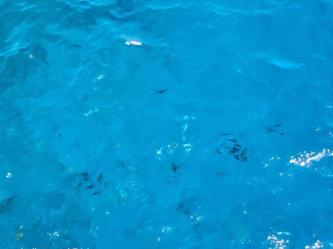 Aqua Nabq Dive Center-沙姆沙伊赫必去景点