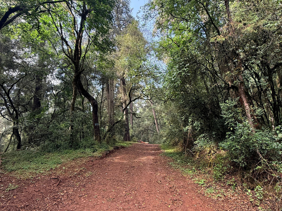 Bale Trek Ethiopia Tours-Goba必去景点