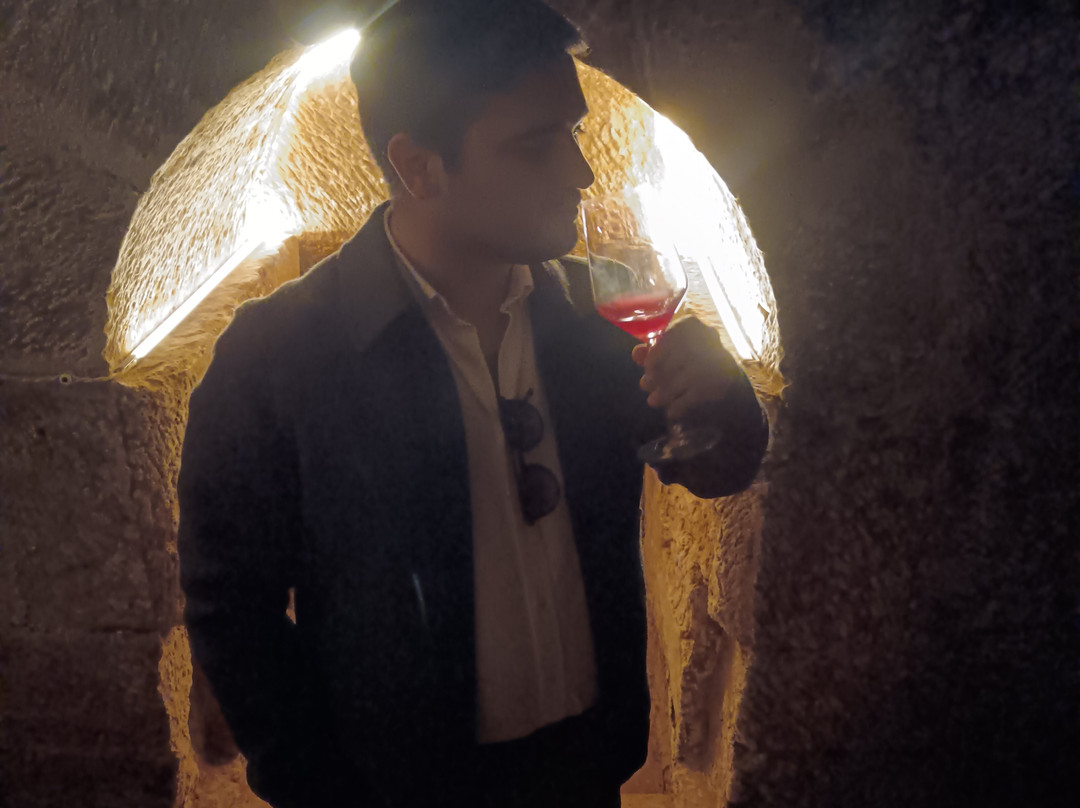Bodega La Cueva del Castillo-Labastida必去景点