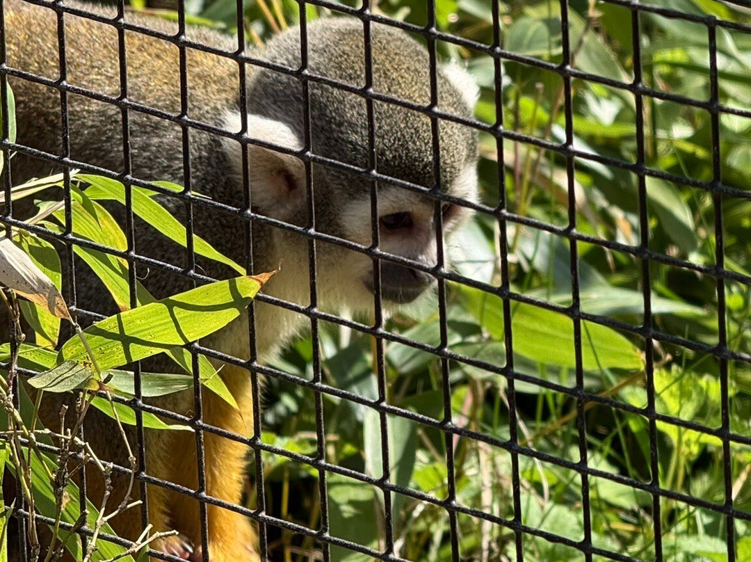 Tierpark und Fossilium Bochum-波鸿必去景点