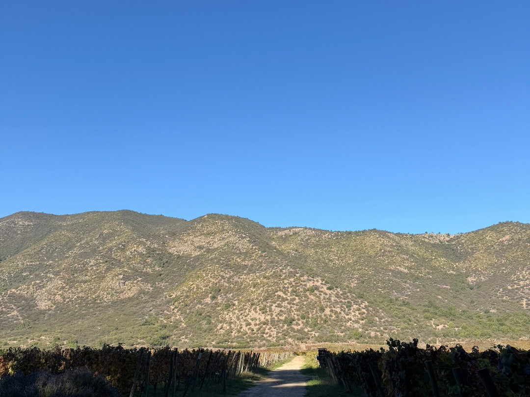 Viña Neyen de Apalta-圣克鲁斯必去景点