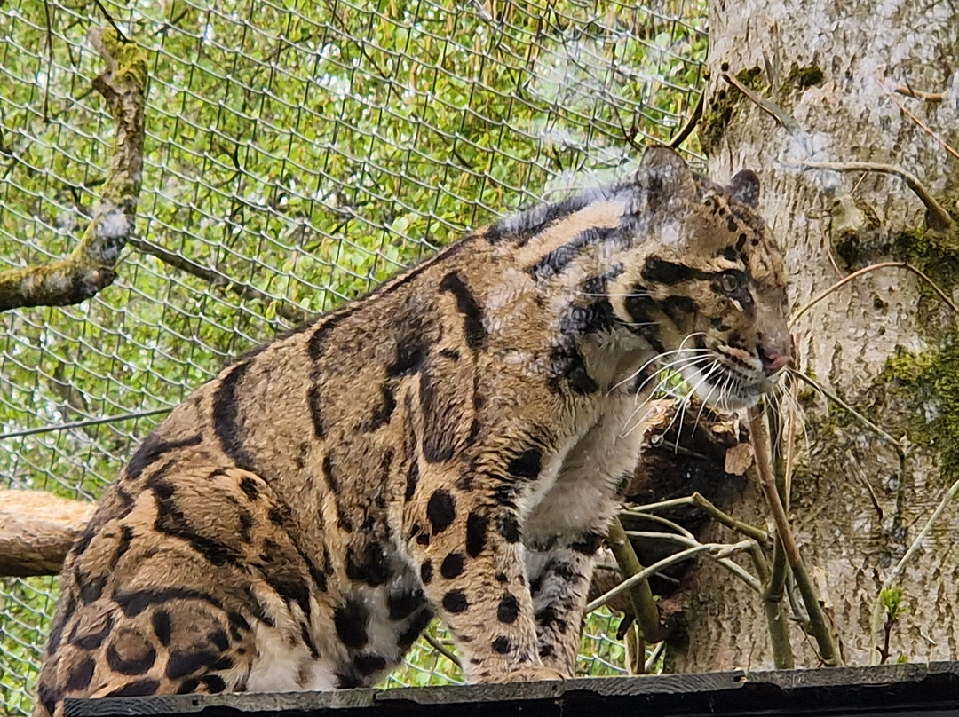 Five Sisters Zoo-West Calder必去景点