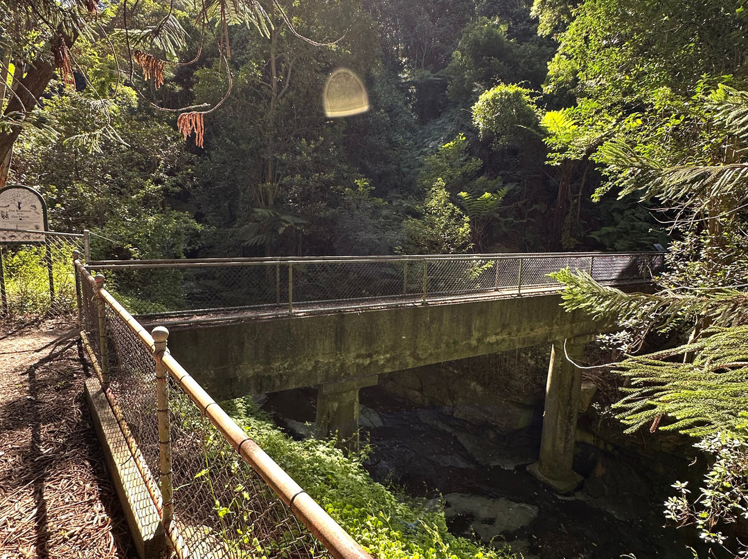 Willoughby falls-Cremorne必去景点