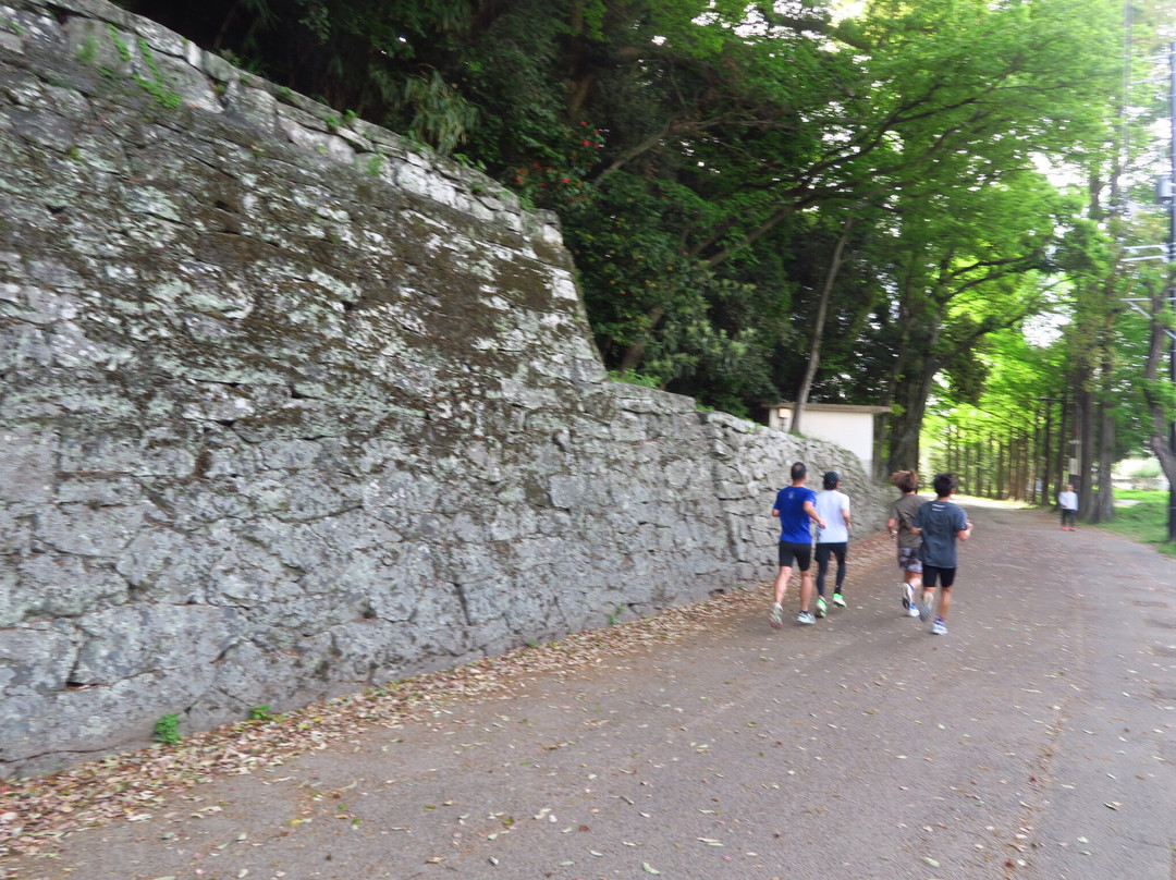 Ruins of Tokushima Castle-德岛市必去景点