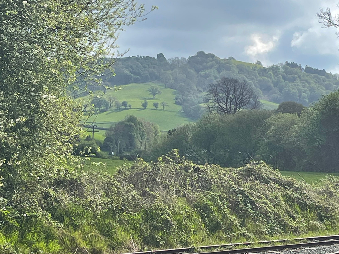 Welshpool and Llanfair Light Railway-Welshpool必去景点
