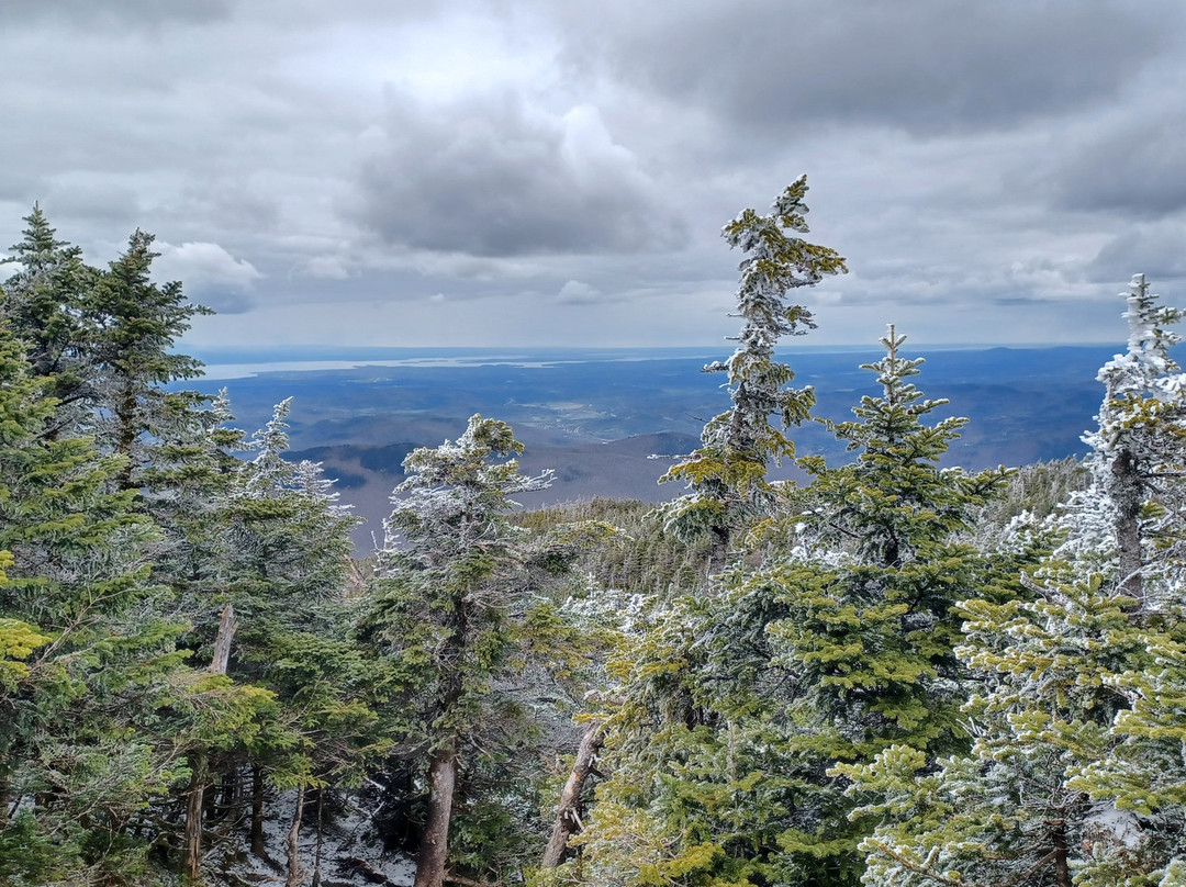 Camel's Hump State Park-沃特伯里必去景点
