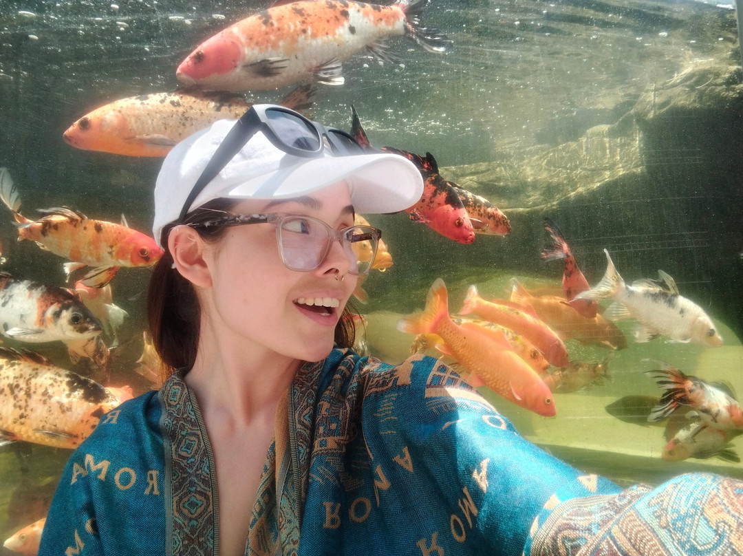 Acuario Michin Guadalajara-瓜达拉哈拉必去景点