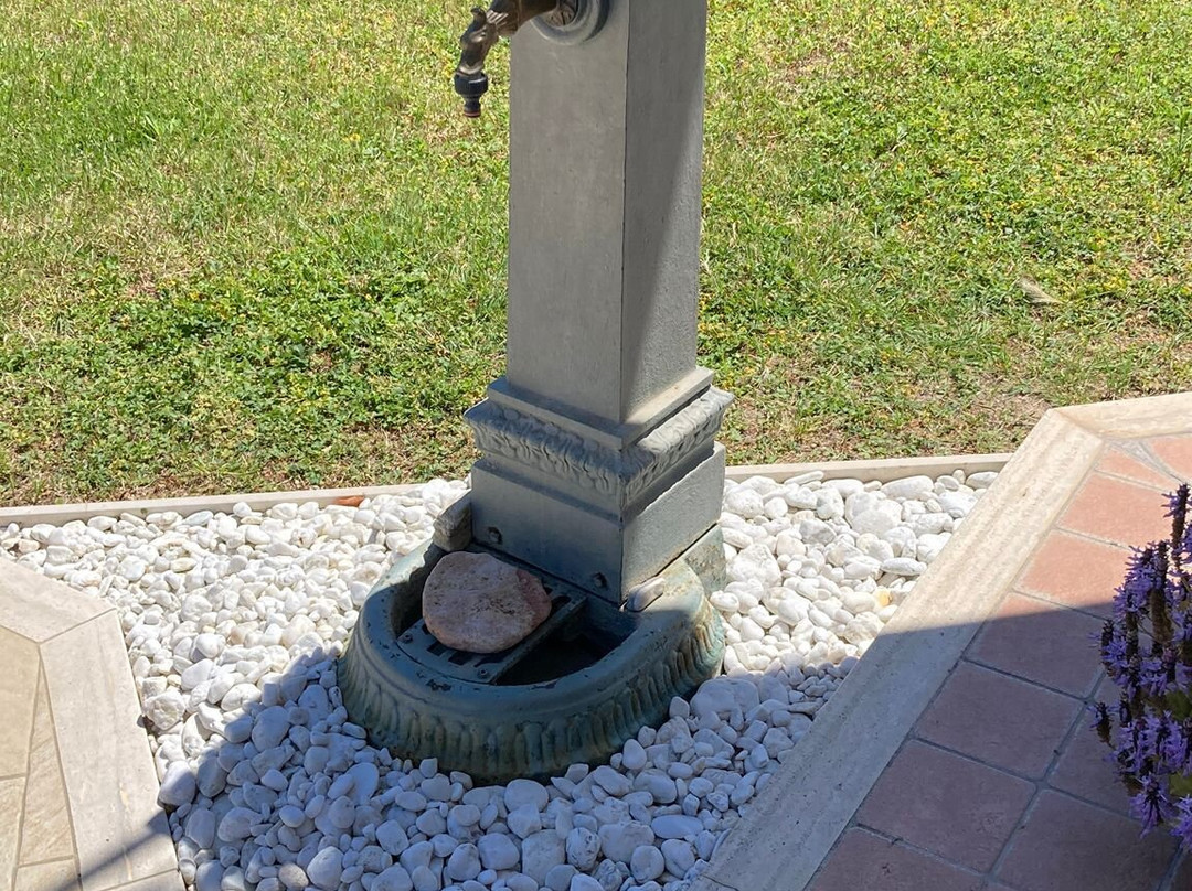 B&B Il Cavalluccio Marino主图