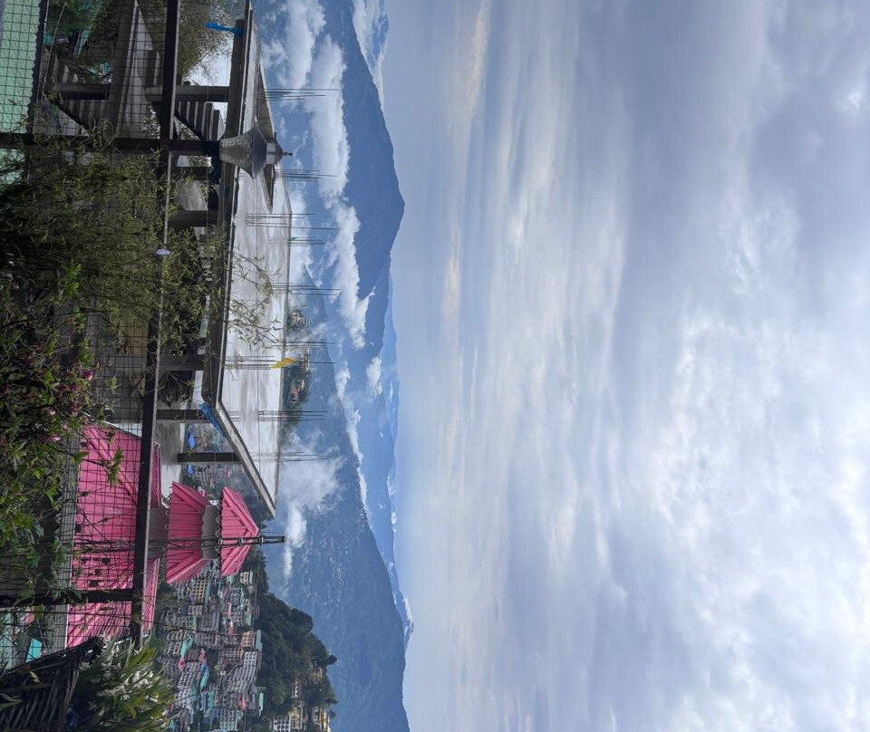 格里芬的小窝酒店主图