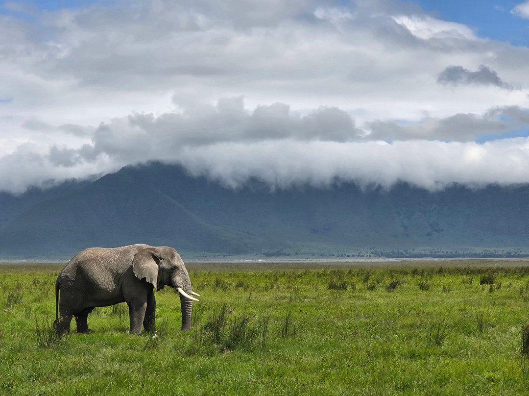 Zara Tanzania Adventures-莫西必去景点