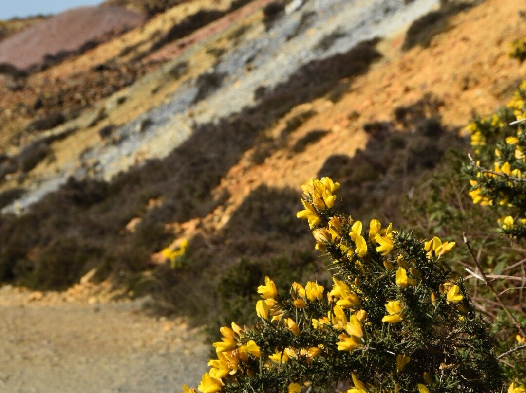 Parys Mountain-Amlwch必去景点