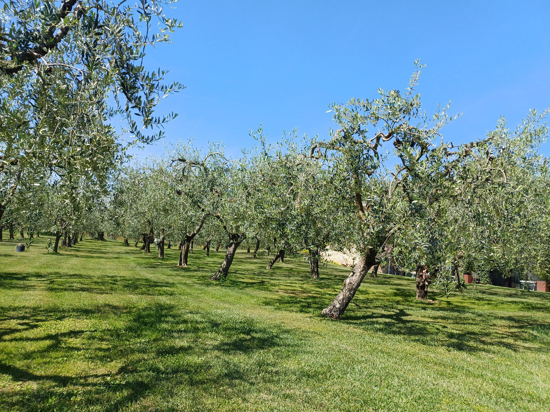 La Cipressina B&B主图