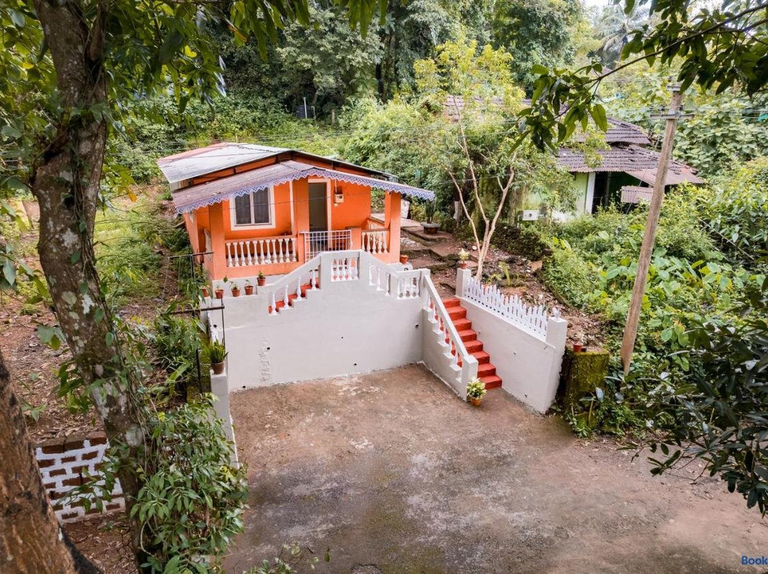 The Treehouse