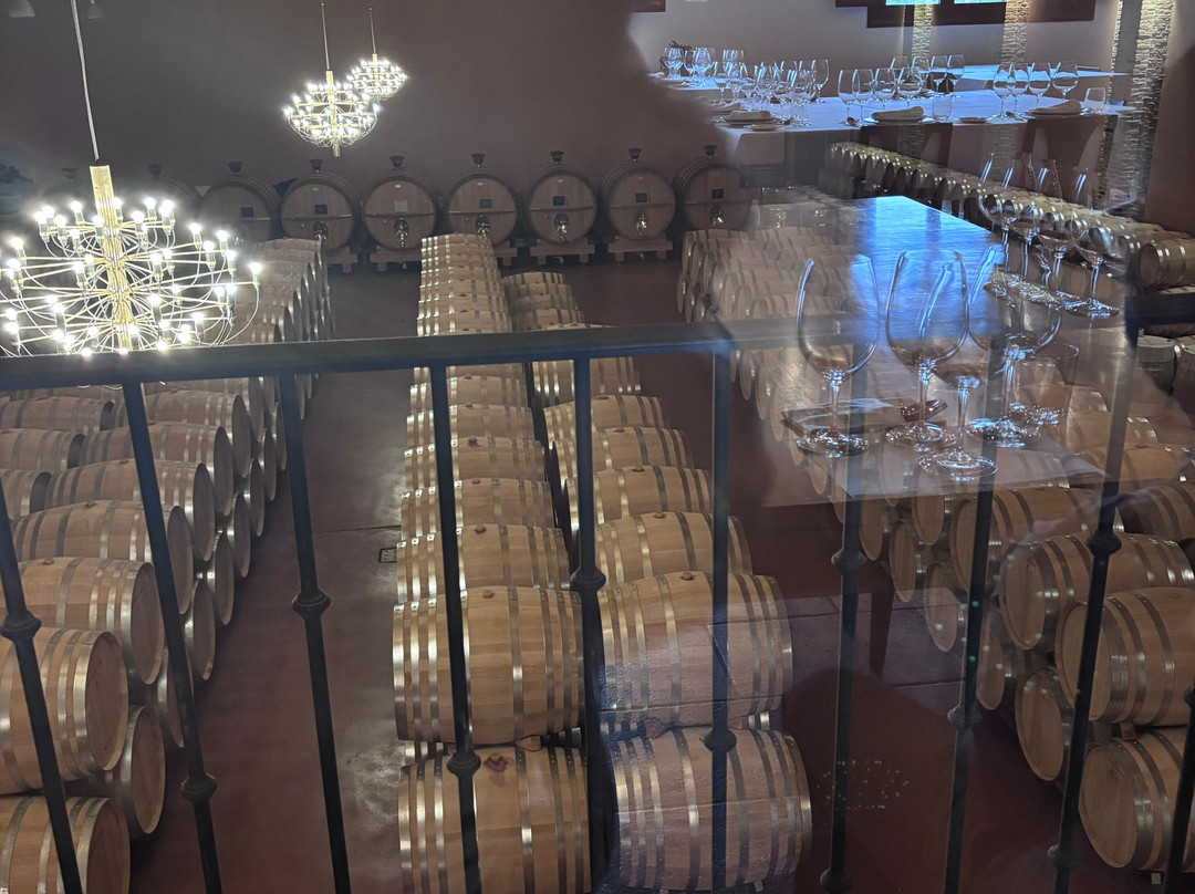 Emilio Moro Bodegas-Pesquera de Duero必去景点