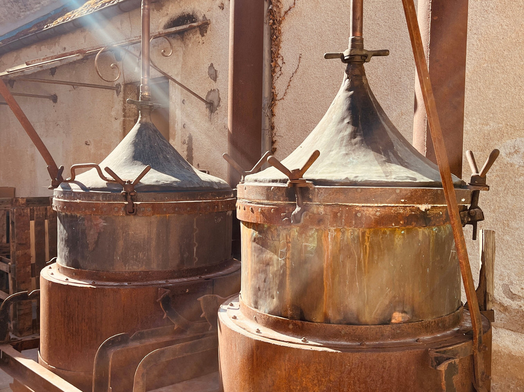 La Sauvage Distillerie De Vezelay-Asquins必去景点