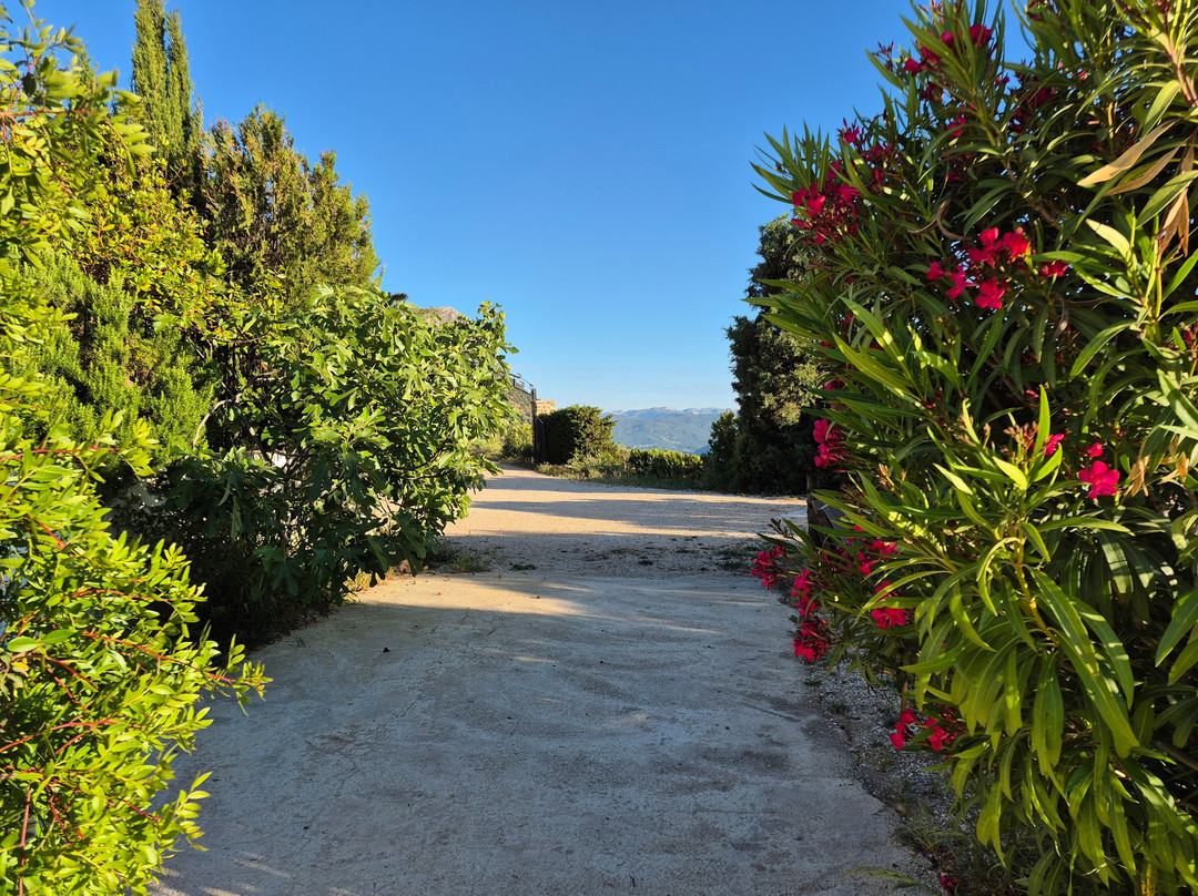 Hacienda El Mirador