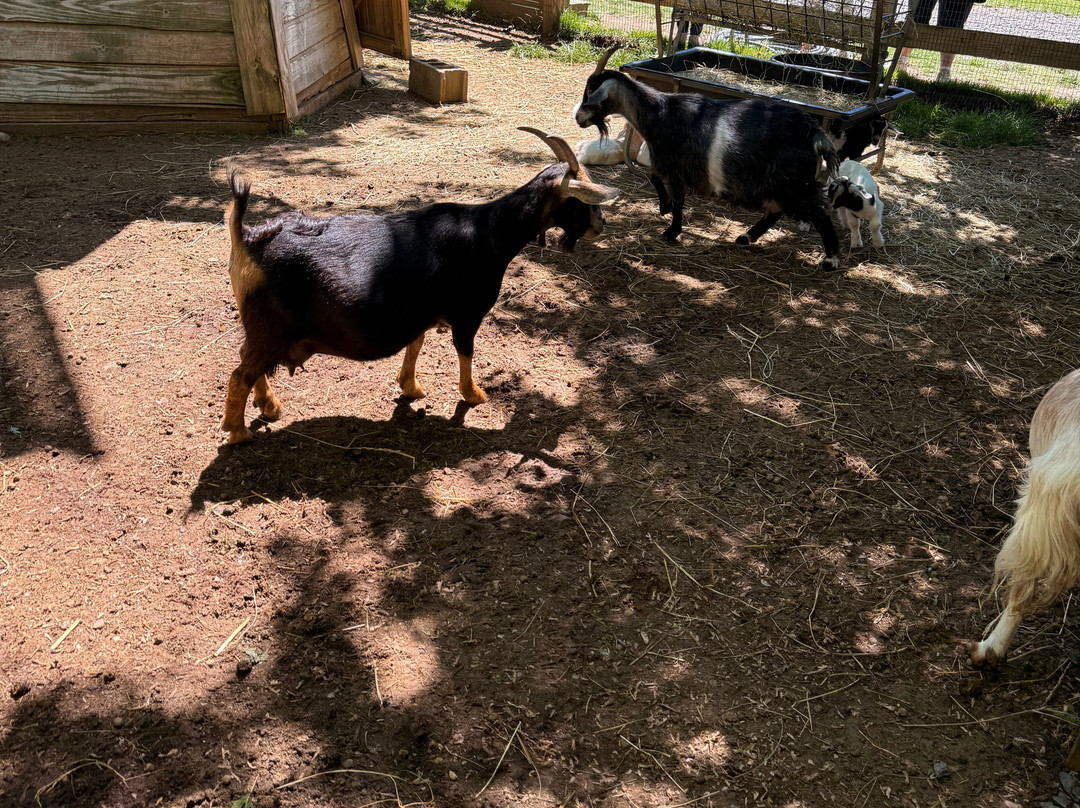 Harbes Family Farm-Mattituck必去景点
