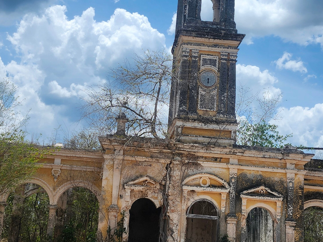 YucatanCenote .com Eco-Adventures-Progreso必去景点