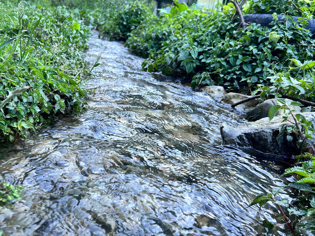 River View Home Stay , Banjar主图