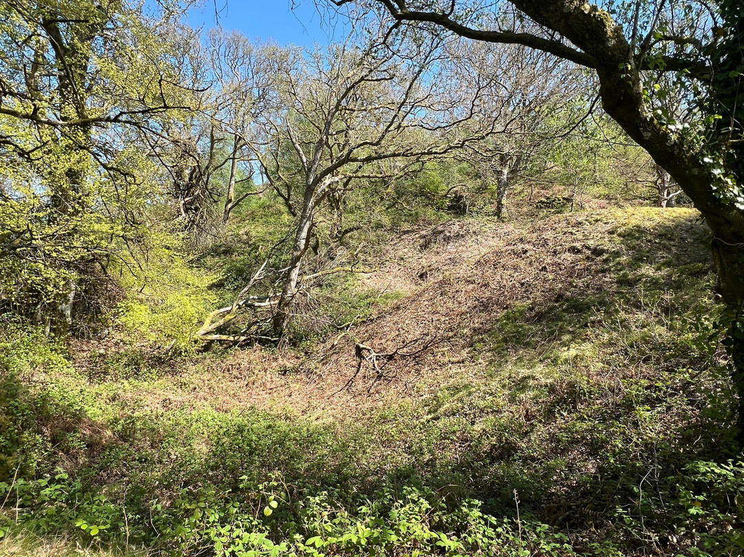 Dolaucothi Gold Mines-Llanwrda必去景点