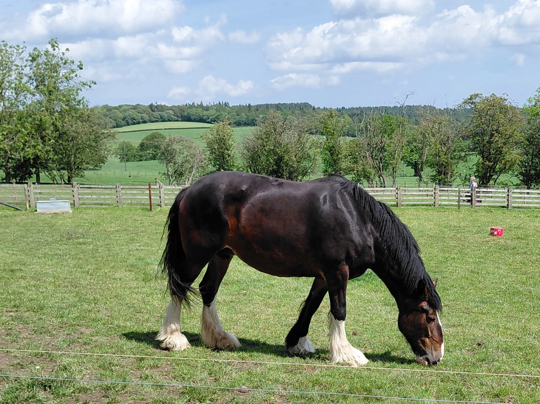 Cannon Hall Farm-Cawthorne必去景点