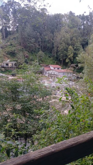 洛斯沃尔卡内斯温泉酒店-旅行者