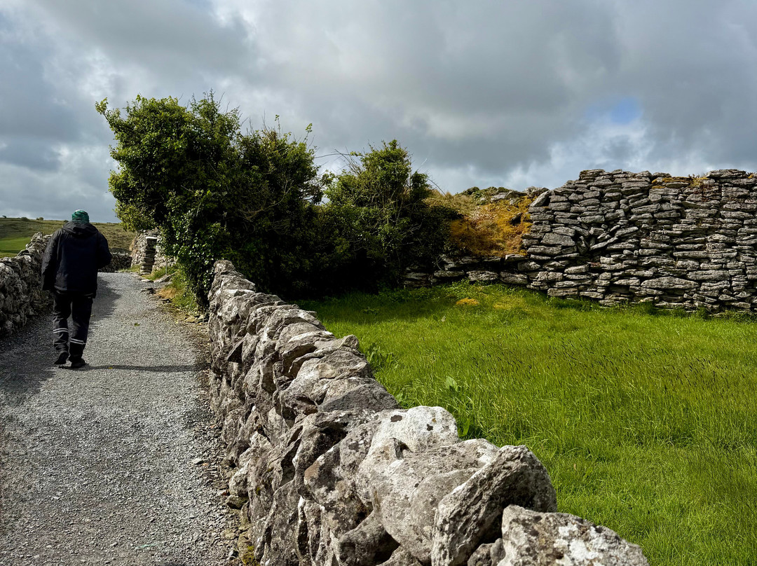 Caherconnell Stone Fort & Sheepdog Demonstrations-Caherconnell必去景点