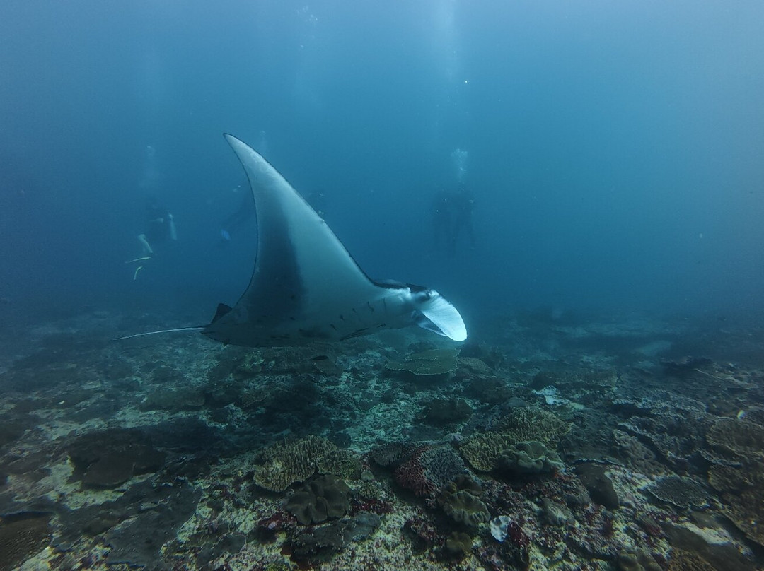 Scuba Go Sanur-Sanur Kauh必去景点