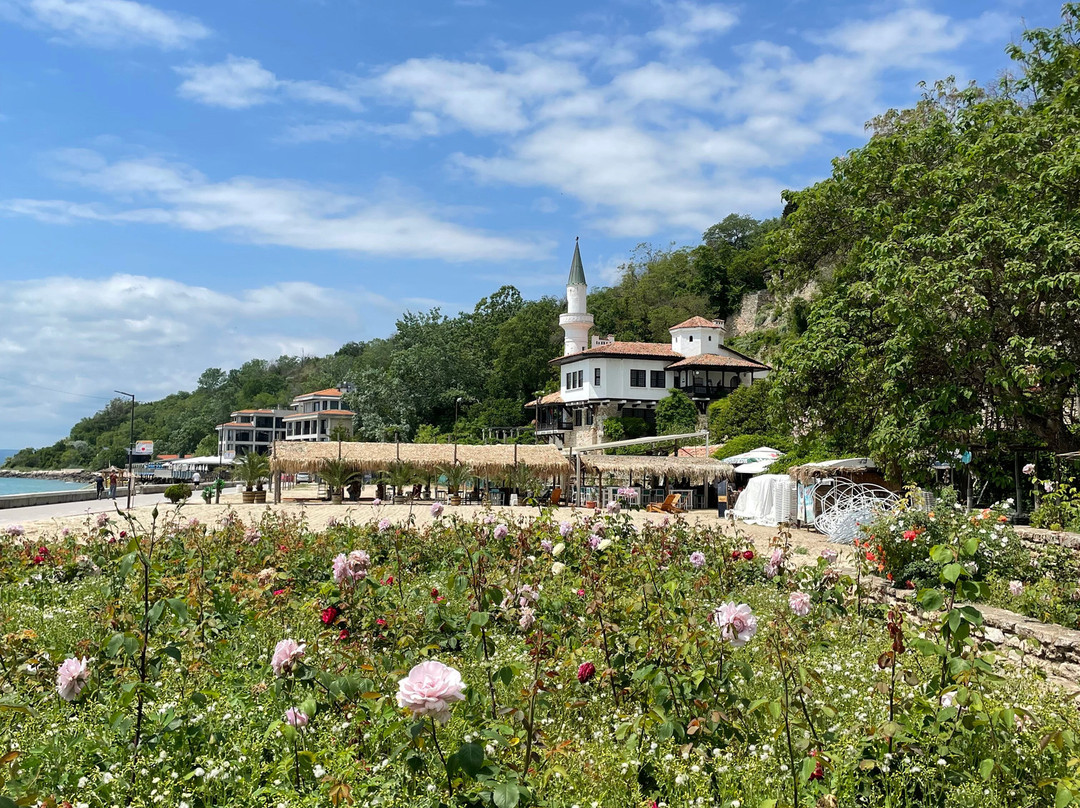 Botanical Garden Ecopark-瓦尔纳必去景点