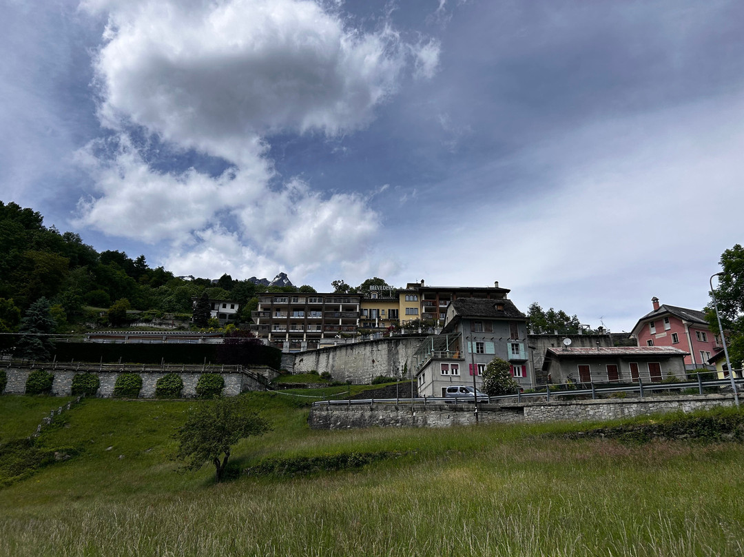 Hotel Belvedere Wellness & Spa主图